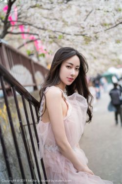 明星宝贝 封面
